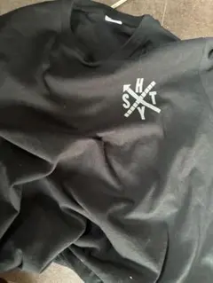 Tシャツ　ヘイスミス