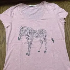 MACPHEE ゼブラ柄 半袖Tシャツ ピンクのサムネイル