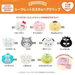 【24時間以内発送】未開封 サンリオ エンジョイアイドル ヘアクリップ