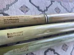 Item thumbnail for item 5e8a7dd9-e36c-4c03-bfbe-e952877aaf28