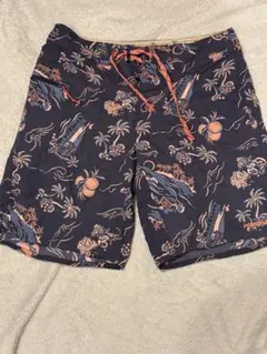 パタゴニア　Patagonia 水陸両用ショートパンツ　29
