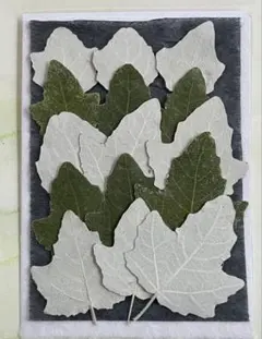 Item thumbnail for item 66a6be24-6d2a-4786-a952-ea8b5bed12c6