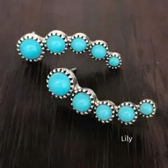 Item thumbnail for item f0a857c1-9bc9-4016-85ad-c9866c2d300e