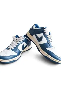 Nike Dunk Low Valerian Blue