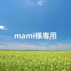 ★mami様専用★オーガナイザー　ペンケース