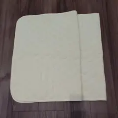 防水汗取りパッド　2枚セット