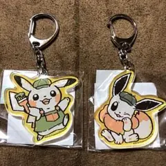 ポケモンウィズユー チャーム エーフィー、サンダース - メルカリ