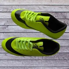 Item thumbnail for item fd8de17a-68f9-4c78-8829-9f934023c882