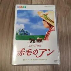 劇団四季 ミュージカル 赤毛のアン DVD 超美品！ - メルカリ