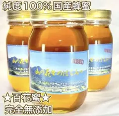 純粋生はちみつ　国産非加熱　600g ×3個　即購入OK
