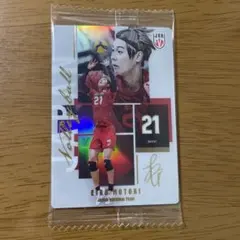 永露元稀 バレーボール 日本代表 トレーディングカード