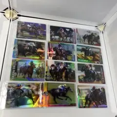 サラブレッドホースコレクション　ツインウエハース　12枚セット
