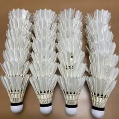 2025年最新】バドミントン シャトル rslの人気アイテム - メルカリ