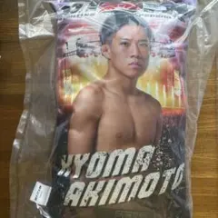 ✌︎('ω'✌︎ )様専用 RIZIN スクエアクッション 秋元強真 クレマス限定