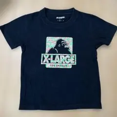 Item thumbnail for item b769c2c8-5e75-4a58-b536-006ffa7e4cd4