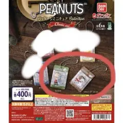 PEANUTS パッケージミニチュアコレクション