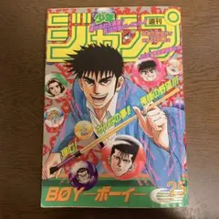 週刊少年ジャンプ　1995年25号　集英社 週刊少年ジャンプ 1995年25号 集英社