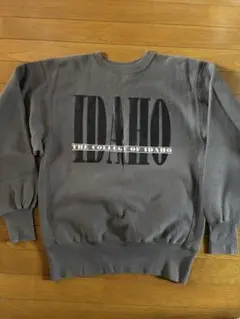 チャンピオン リバースウィーブ レアカラー 90s ビンテージ 刺繍タグ トリコ