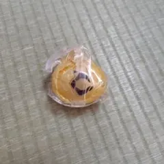 カブトムシシードエグズ