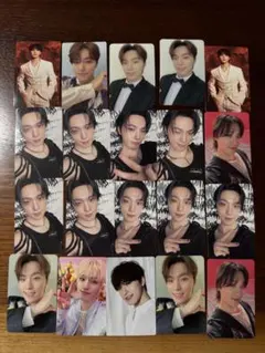 セブチ　ディノ　トレカ