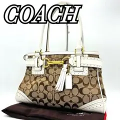 Coach signature canvas handbag white