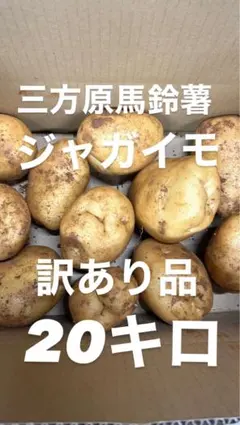 #18 三方原馬鈴薯　じゃがいも　訳あり品　20キロのサムネイル
