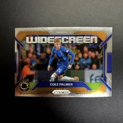 サッカーカード コールパーマー チェルシー PANINI クラブワールドカップ