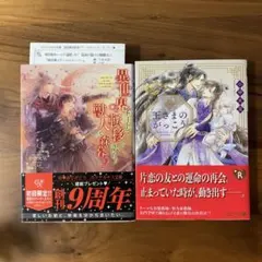 BL小説 異世界チートで転移して、訳あり獣人と森暮らし