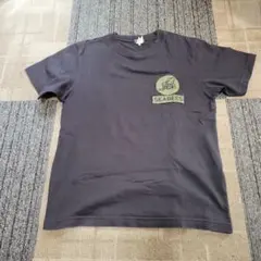 タイヨウ様専用東洋エンタープライズSEABEES Tシャツ DAU TIENGのサムネイル