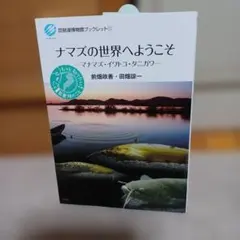 ナマズの世界へようこそ　マナマズ　イワトコナマズ　タニガワナマズ