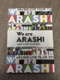 嵐 We are ARASHI グッズパンフレット クリアファイル　ミニうちわ