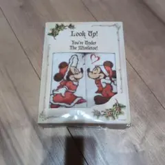 ディズニー ミッキー ミニー タオルセット