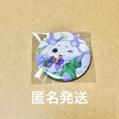 ルンルン にじフェス2025 クラスTシャツ缶バッジ あやかき いずれ菖蒲か杜若