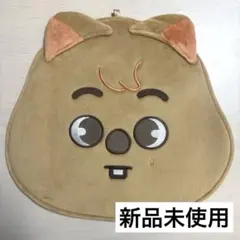 【新品未使用】 StrayKids ハン うちわケース