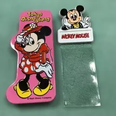 ディズニーランド　お土産品