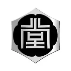 新品未開封 龍が如く 代紋ピンズ 堂島組
