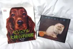 m*m様 360°ビジュアル犬種大図鑑 : 世界の最新人気犬種のスタンダード