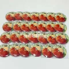 天城一彩 ホワイトリリー 缶バッジセット 開花後 天城一彩 ホワイトリリー 缶バッジセット 開花後 2025年最新】天城一彩