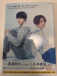 美しい彼公式ビジュアルブック