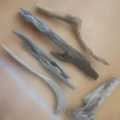 Item thumbnail for item 58de41f5-cc0a-42df-ac15-468007508808