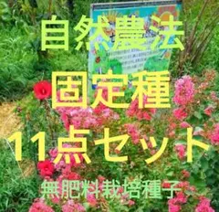 RIN(即購入可です♪)様 リクエスト 3点 まとめ商品