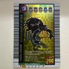 ムシキング タランドゥスツヤクワガタ 2005ファースト 金レア つよさ