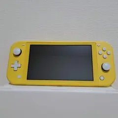 【ハンター様専用】【即購入不可】Nintendo Switch Lite