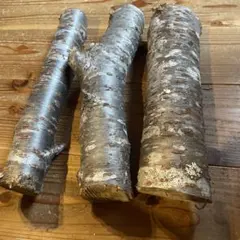 Item thumbnail for item 83a4720e-9da0-41d3-930d-a25823a260e4