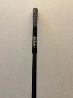 Item thumbnail for item 60f95174-780d-447b-a178-59269835cee6