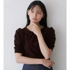 TONAL フロッキーチュールギャザースリーブトップス　ベロア　ブラウン　半袖のサムネイル