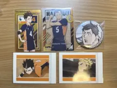 ハイキュー 西谷夕 田中龍之介 縁下力 烏養繋心 ぱしゃこれ 缶バッジ