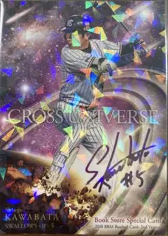BBM 川端慎吾　プリントサイン　プロモーションカード　プロ野球カード