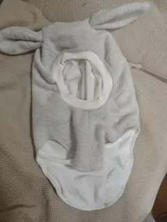 Item thumbnail for item d53403df-7e7a-40f9-a676-57020fea176d