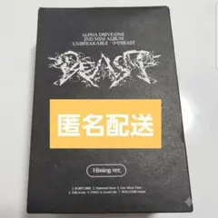 ALD1 少年BEAST Hissing アルバム サンウォン トレカ CD